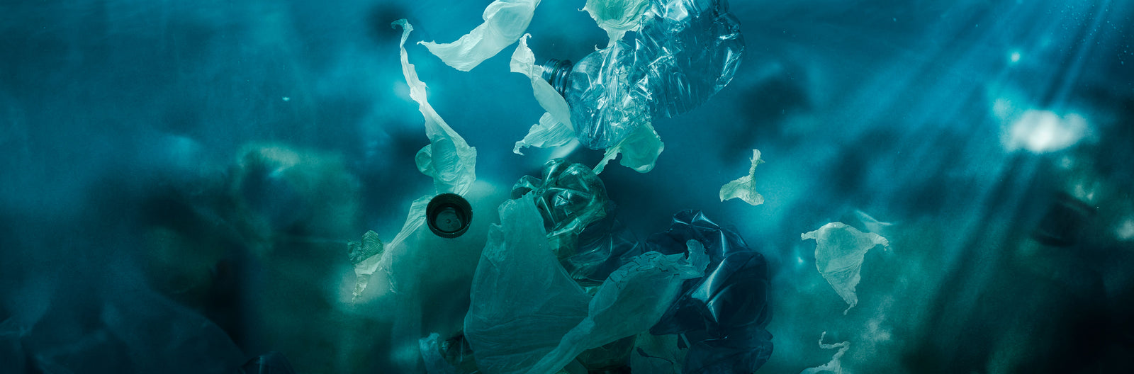 Personal care, the risk for our health and oceans.